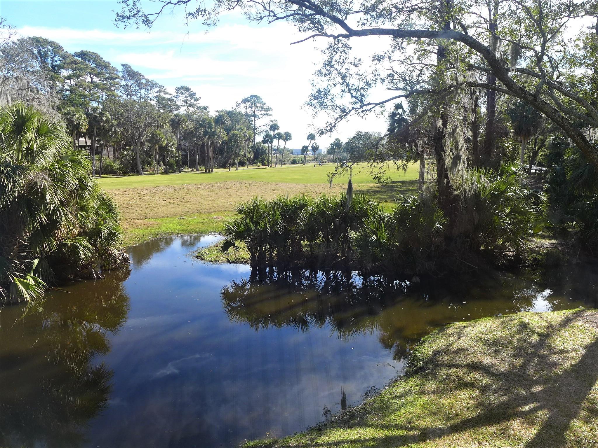 826 Club Cottage Road Edisto Beach, SC 29438 - Photo 2 of 31 P1070184