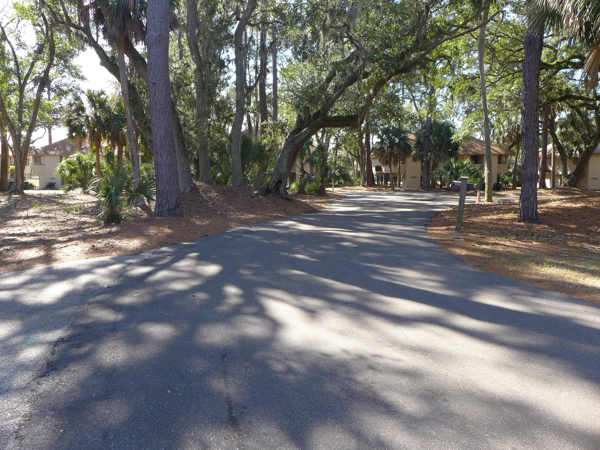 826 Club Cottage Road Edisto Beach, SC 29438 - Photo 24 of 31 P1070215