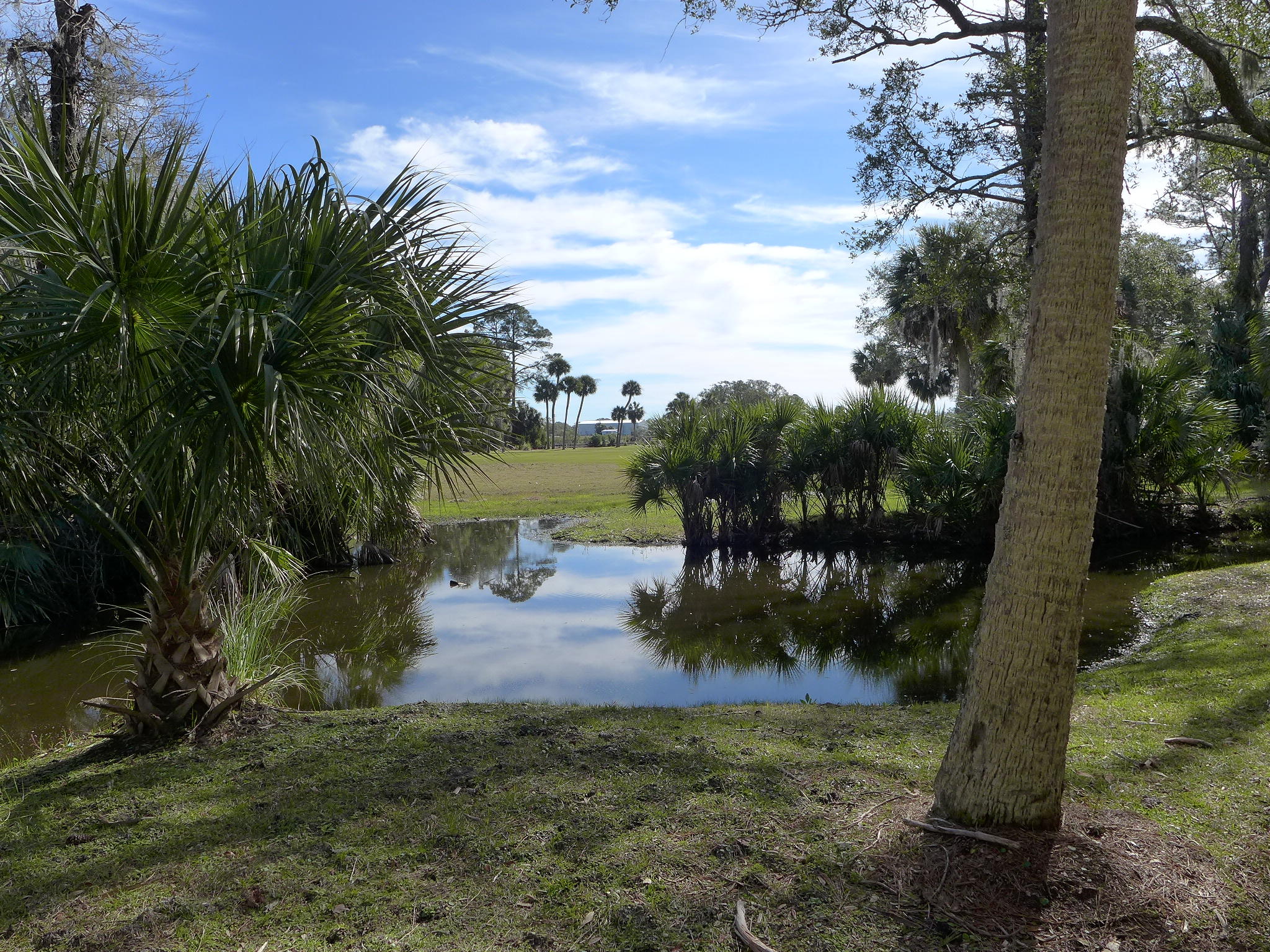 826 Club Cottage Road Edisto Beach, SC 29438 - Photo 31 of 31 P1070171
