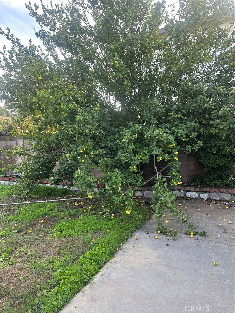 404 Sievers Avenue Brea, CA 92821 - Photo 19 of 21 a backyard of a house with lots of green space