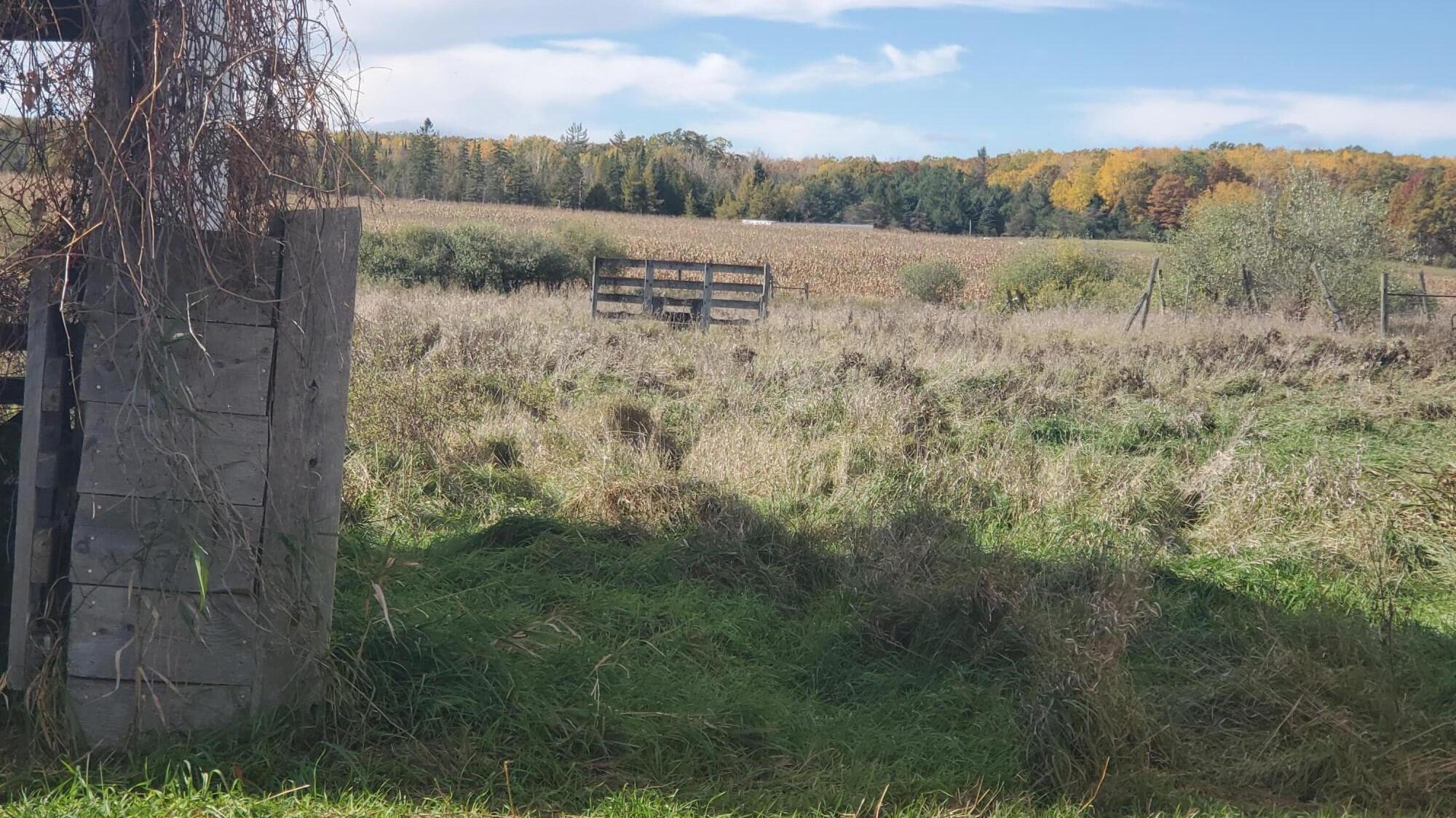 9676 Gries Road Herron, MI 49744 - Photo 20 of 20 20251025_133345