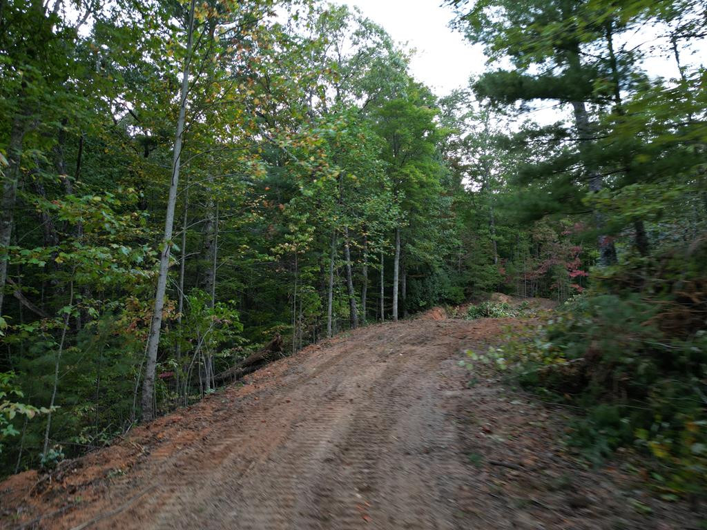 3.69-ac Atoah Loop Murphy, NC 28906 - Photo 15 of 28 Gallery Image 15