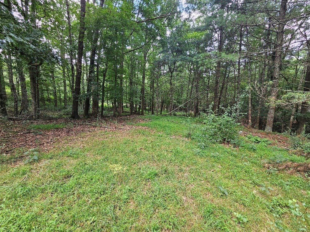 286 Vaughn Road Fries, VA 24330 - Photo 8 of 18 Gallery Image 8