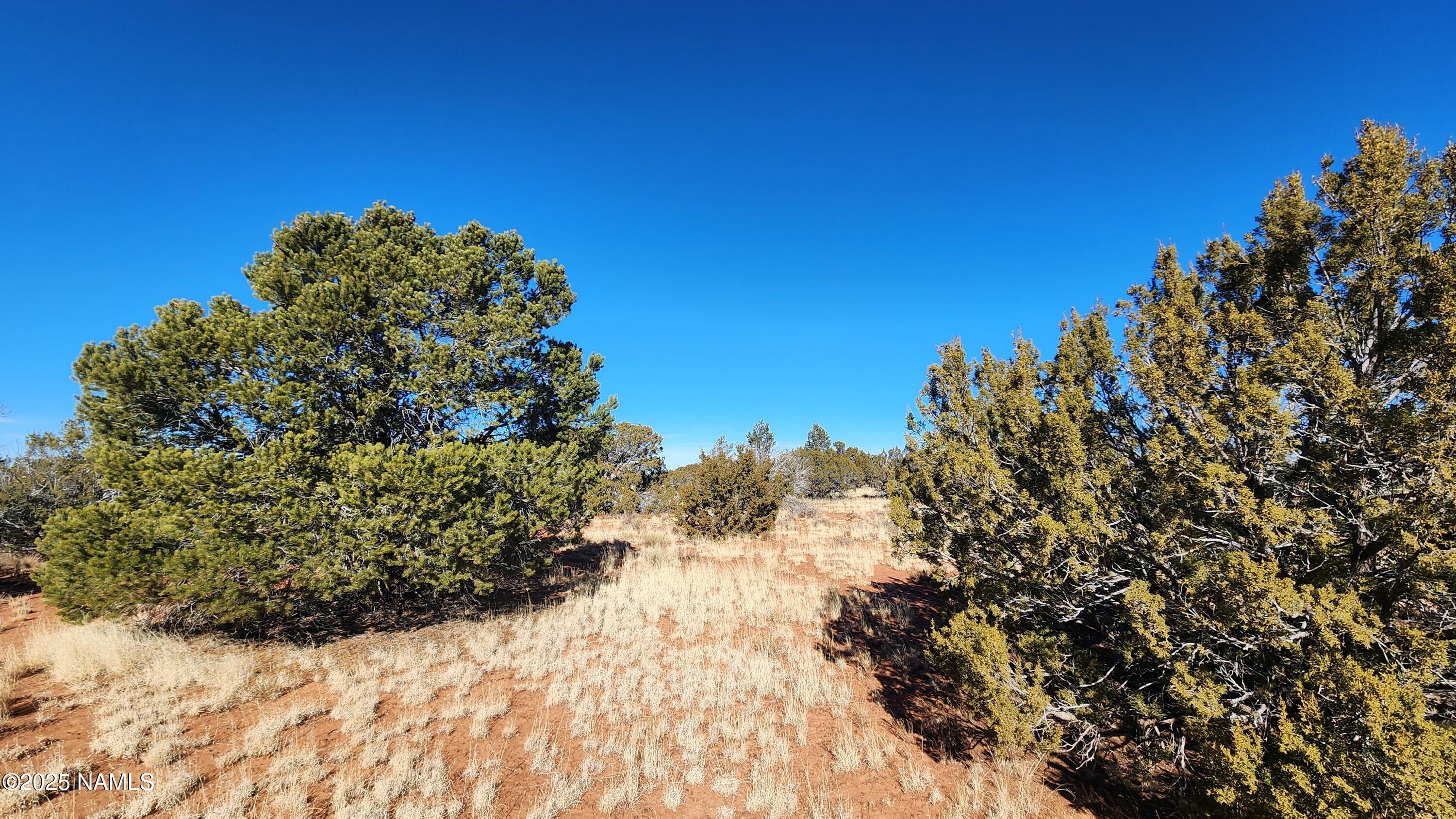 3372 East Valencia Road Williams, AZ 86046 - Photo 24 of 34 1000023811