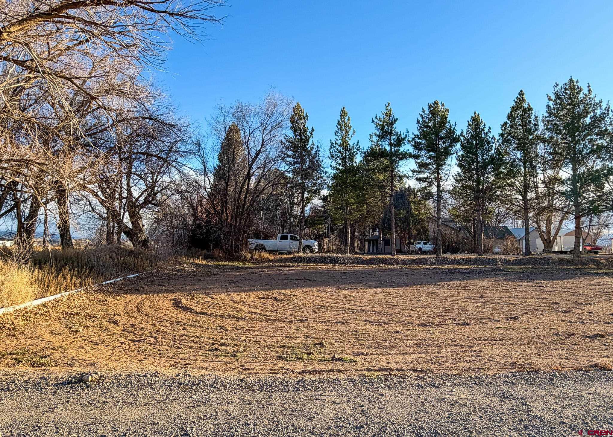 8903 Marshalls Road Austin, CO 81410 - Photo 30 of 45 a view of a yard with trees in the background