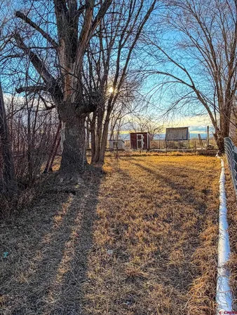 a view of a backyard of the house
