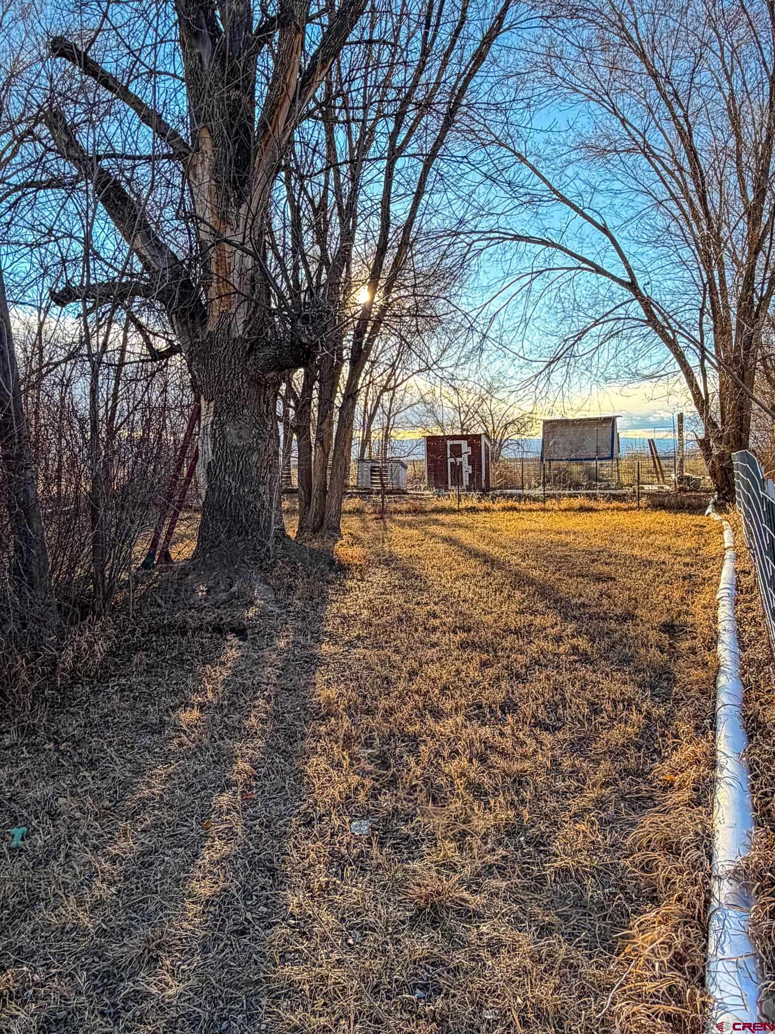 8903 Marshalls Road Austin, CO 81410 - Photo 32 of 45 a view of a yard with a house
