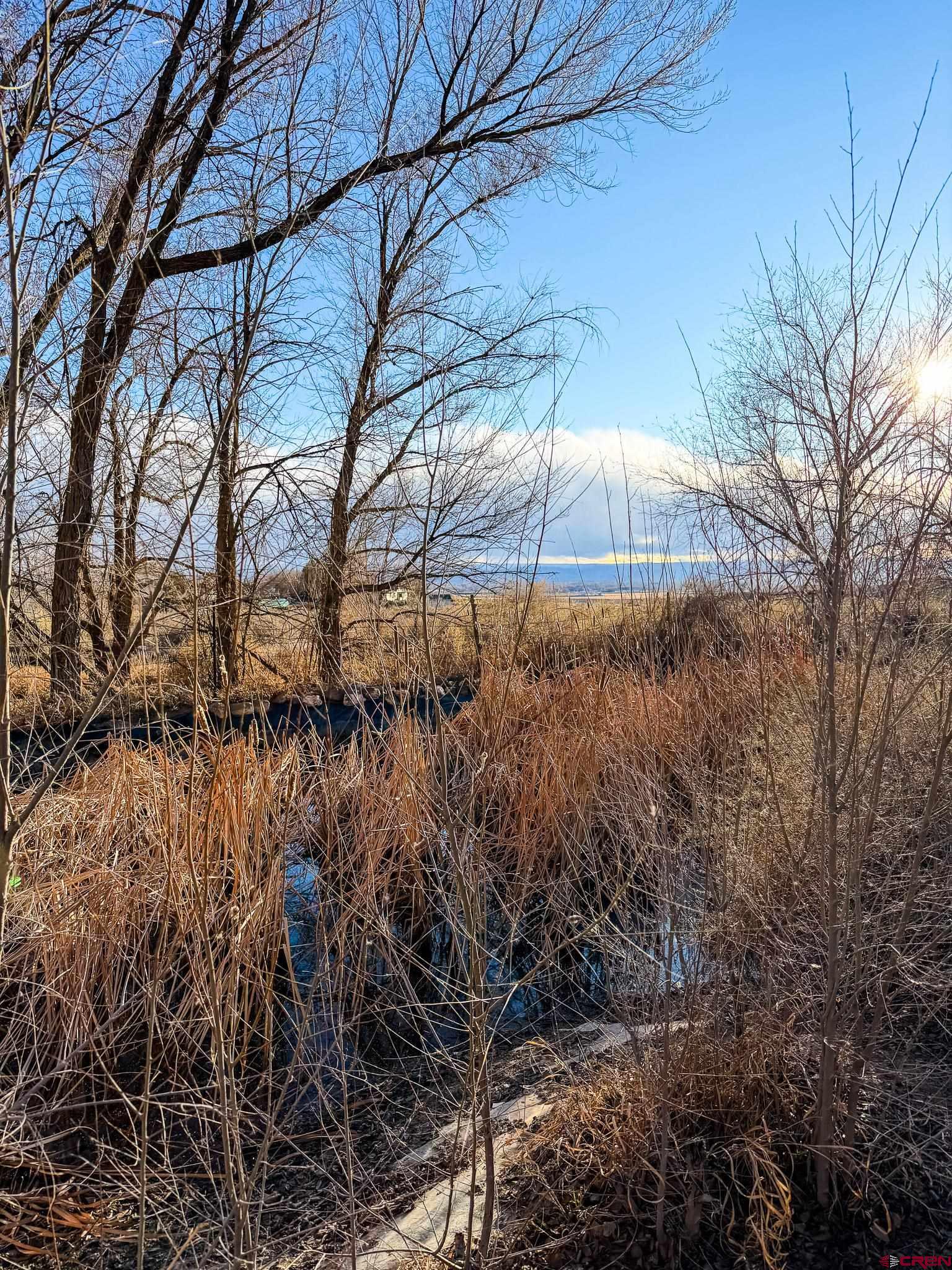8903 Marshalls Road Austin, CO 81410 - Photo 33 of 45 a view of a backyard of the house
