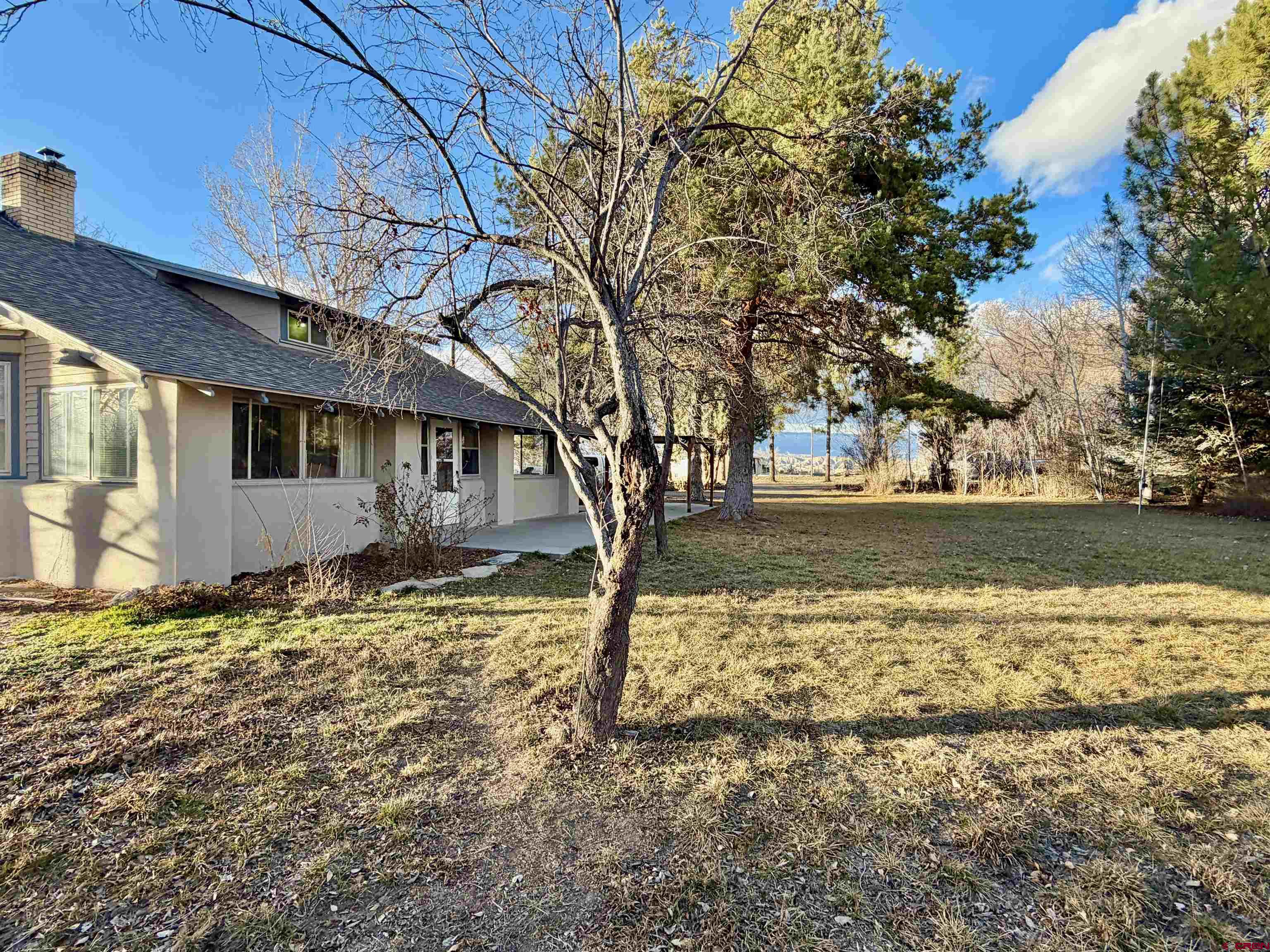 8903 Marshalls Road Austin, CO 81410 - Photo 36 of 45 a backyard of a house with lots of green space