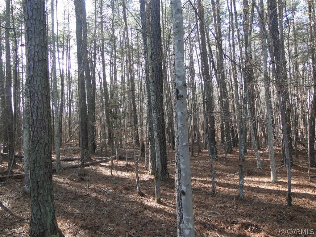 Lot 3 Academy Road Powhatan, VA 23139 - Photo 1 of 1 Gallery Image 1