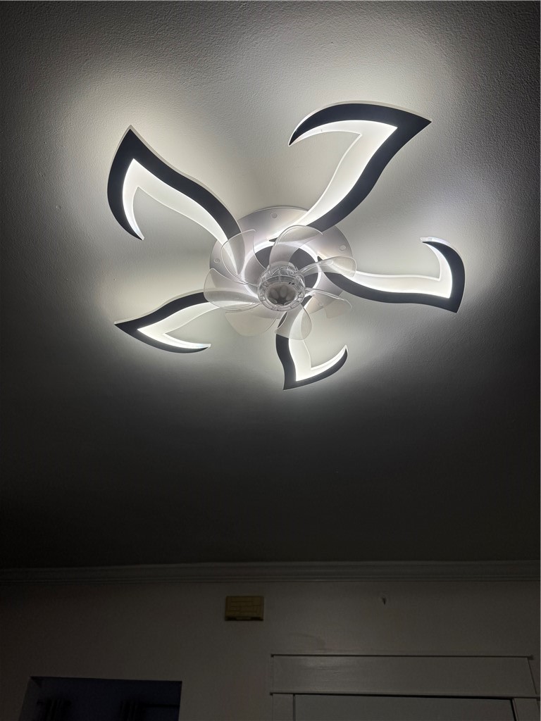 216 South Plain Street Ithaca, NY 14850 - Photo 16 of 47 Unique ceiling fans