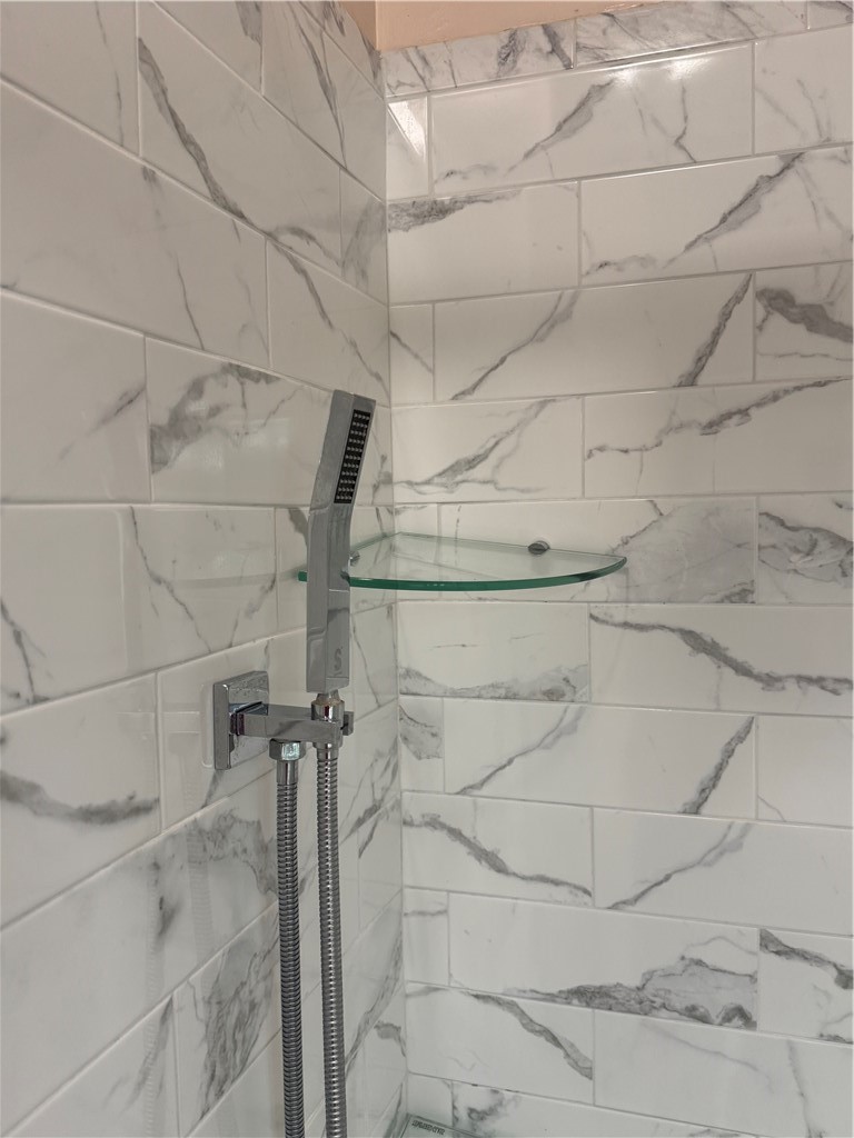 216 South Plain Street Ithaca, NY 14850 - Photo 21 of 47 Shelving and lower shower, beautiful tile
