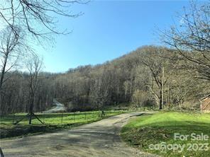 0 Betsy's Gap Road Clyde, NC 28721 - Photo 2 of 7 a view of backyard with green space
