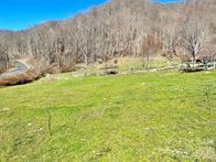 0 Betsy's Gap Road Clyde, NC 28721 - Photo 5 of 7 a view of yard with trees