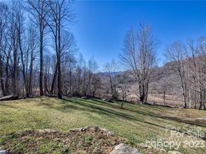 0 Betsy's Gap Road Clyde, NC 28721 - Photo 7 of 7 a view of a backyard with large trees