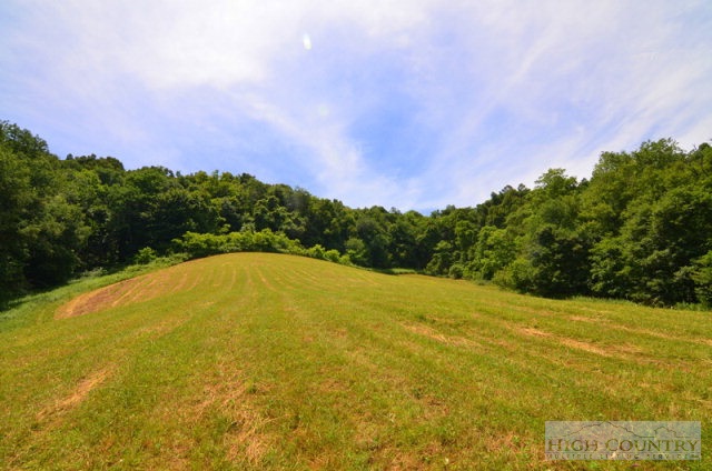 1240 Raven Rock Road Boone, NC 28607 - Photo 1 of 29 Gallery Image 1