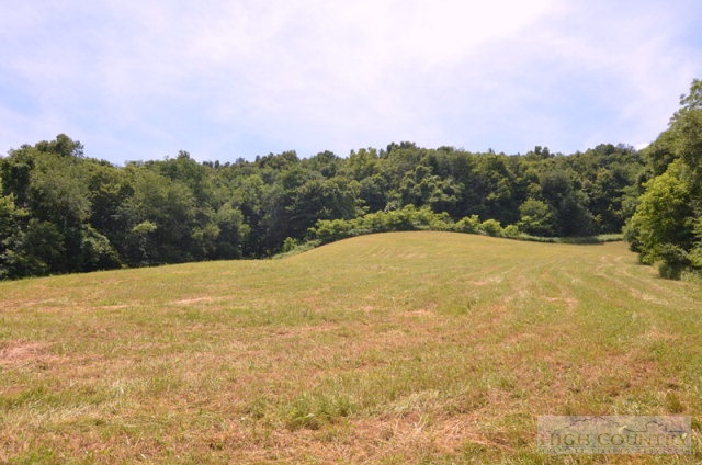 1240 Raven Rock Road Boone, NC 28607 - Photo 3 of 29 Gallery Image 3