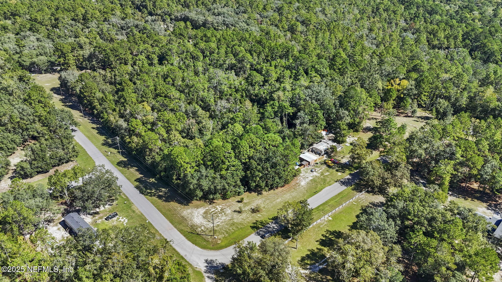 1733 Hereford Road Middleburg, FL 32068 - Photo 11 of 44 a view of a garden with plants