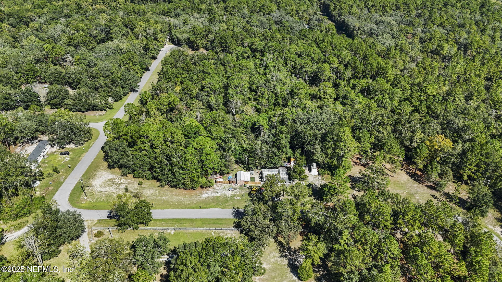 1733 Hereford Road Middleburg, FL 32068 - Photo 12 of 44 a view of a garden with a tree