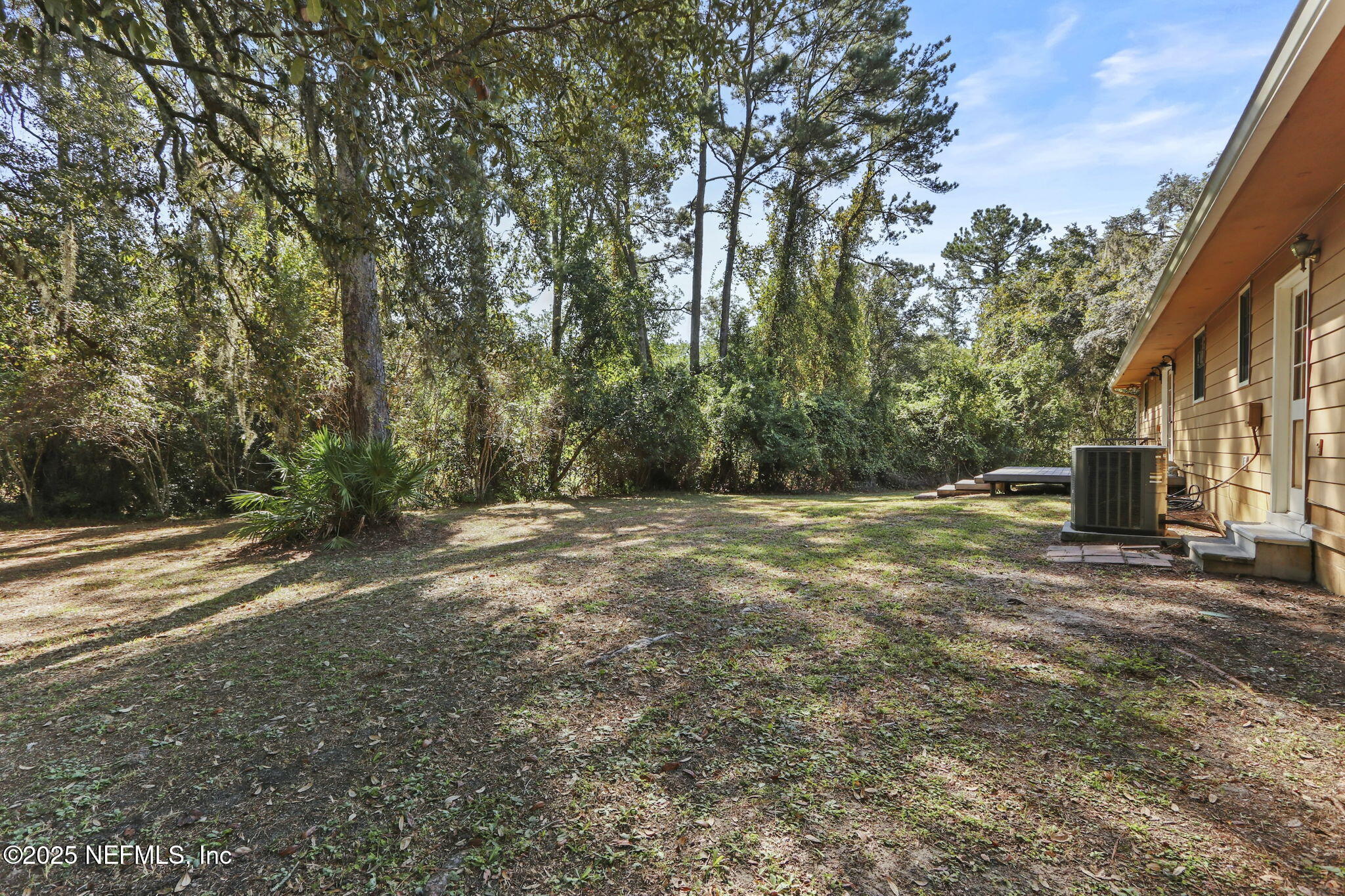 1733 Hereford Road Middleburg, FL 32068 - Photo 19 of 44 a view of backyard with outdoor space