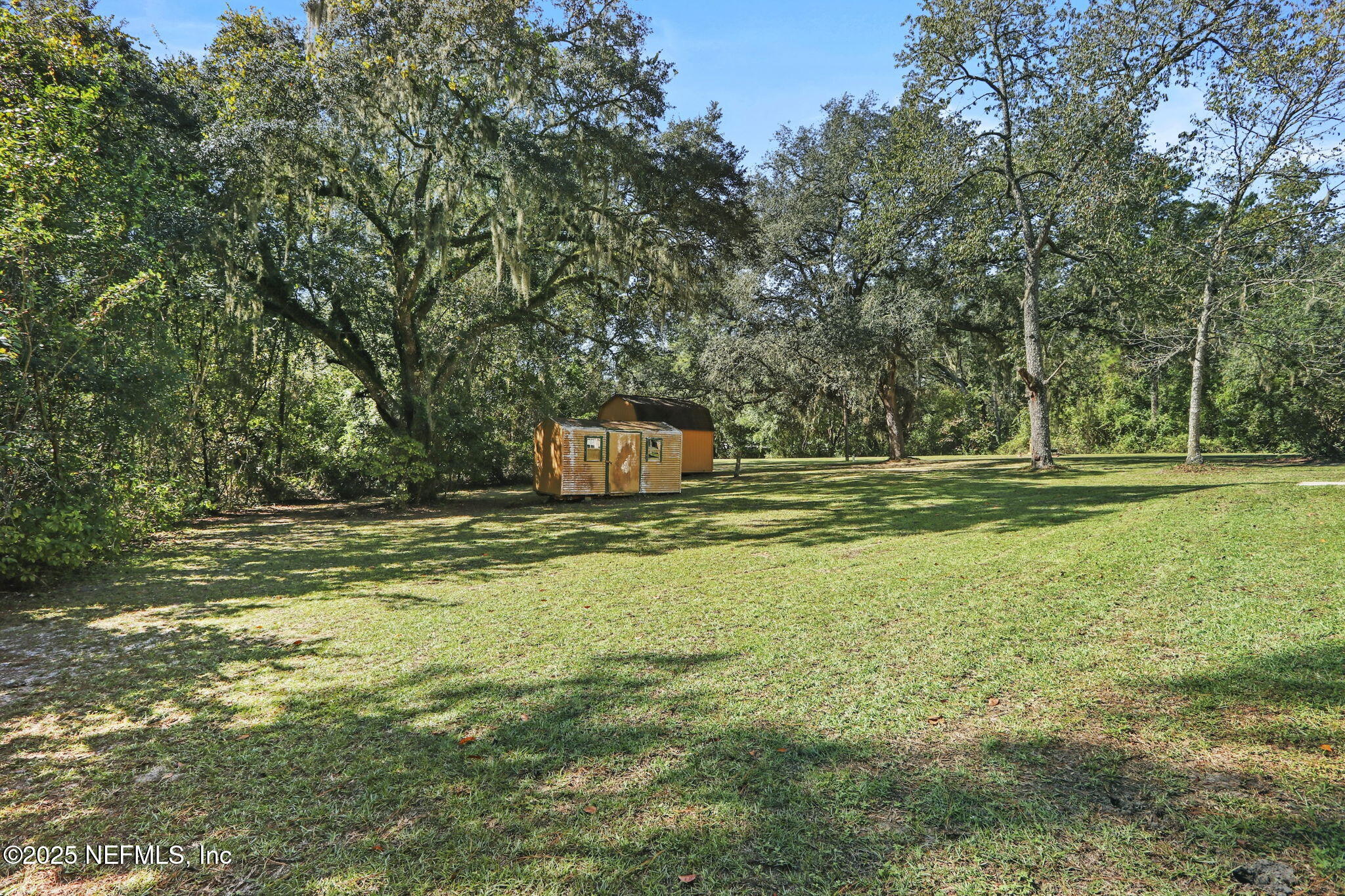 1733 Hereford Road Middleburg, FL 32068 - Photo 40 of 44 a view of a trees with a big yard