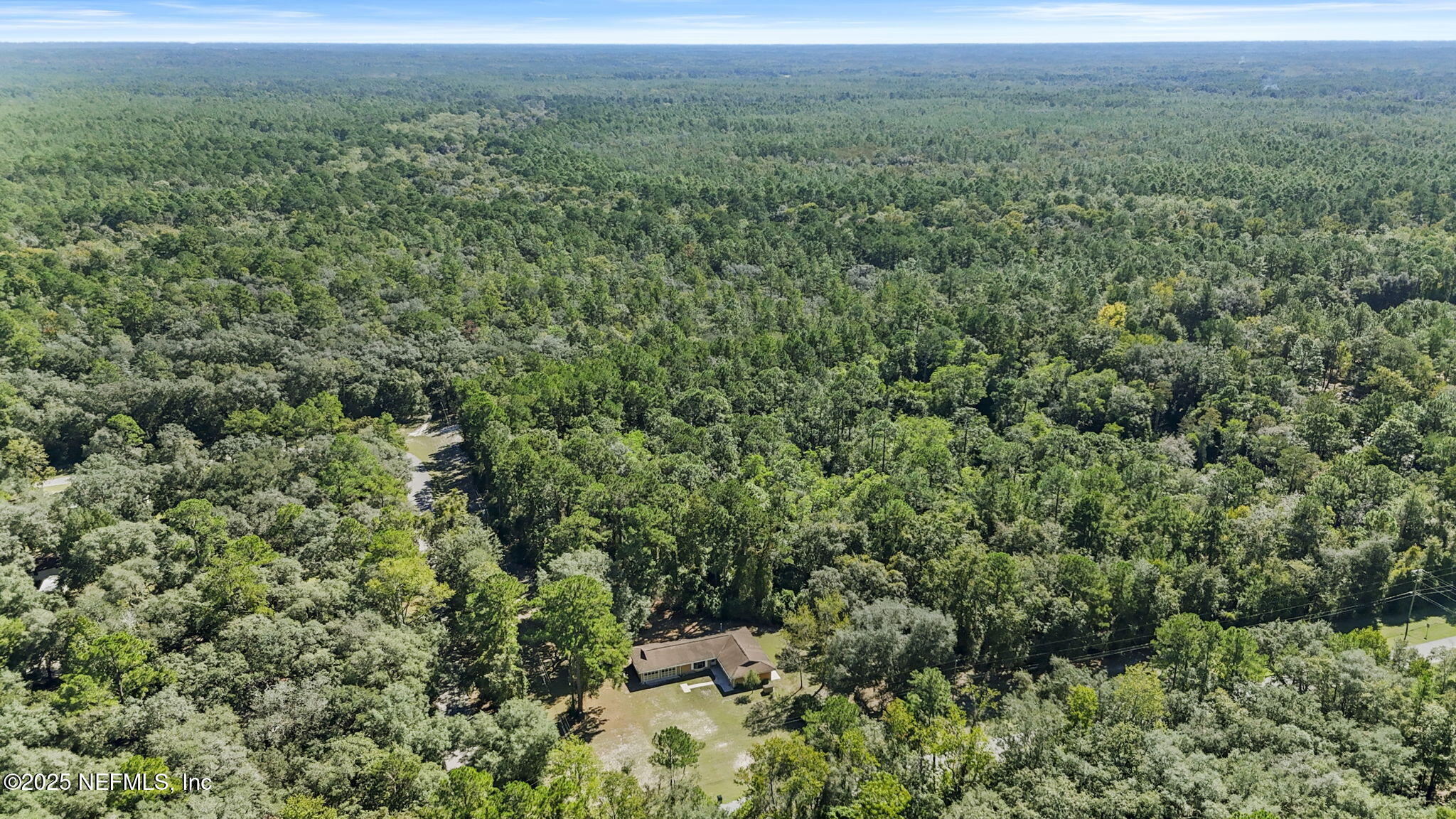 1733 Hereford Road Middleburg, FL 32068 - Photo 7 of 44 a view of a green field with lots of bushes