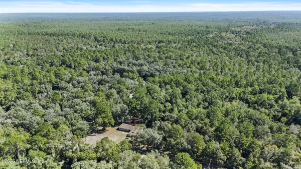 a view of a lush green forest with trees and some houses