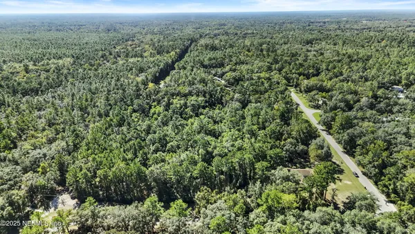 an aerial view of forest