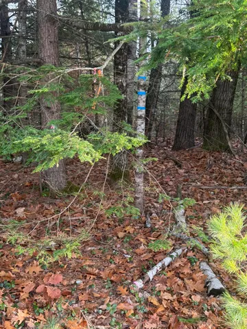 $120,000 | Lot 1-b Sebago Road, East Baldwin, ME 04024