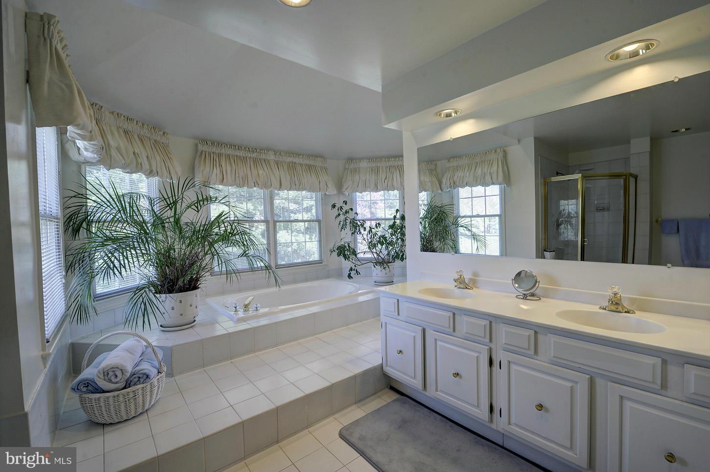 9706 Middleton Ridge Road Vienna, VA 22182 - Photo 20 of 30 Bath (Master)