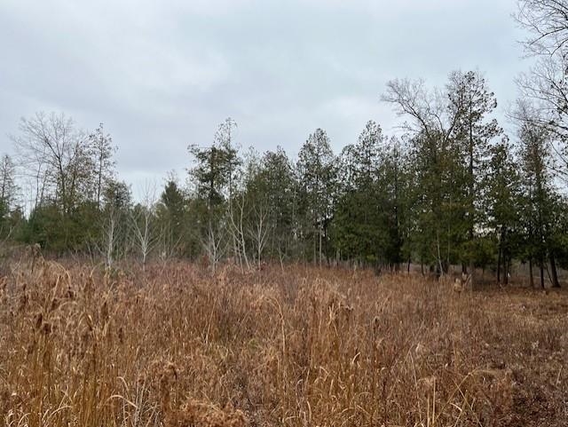 0 North Miller Road East Tawas, MI 48730 - Photo 7 of 23