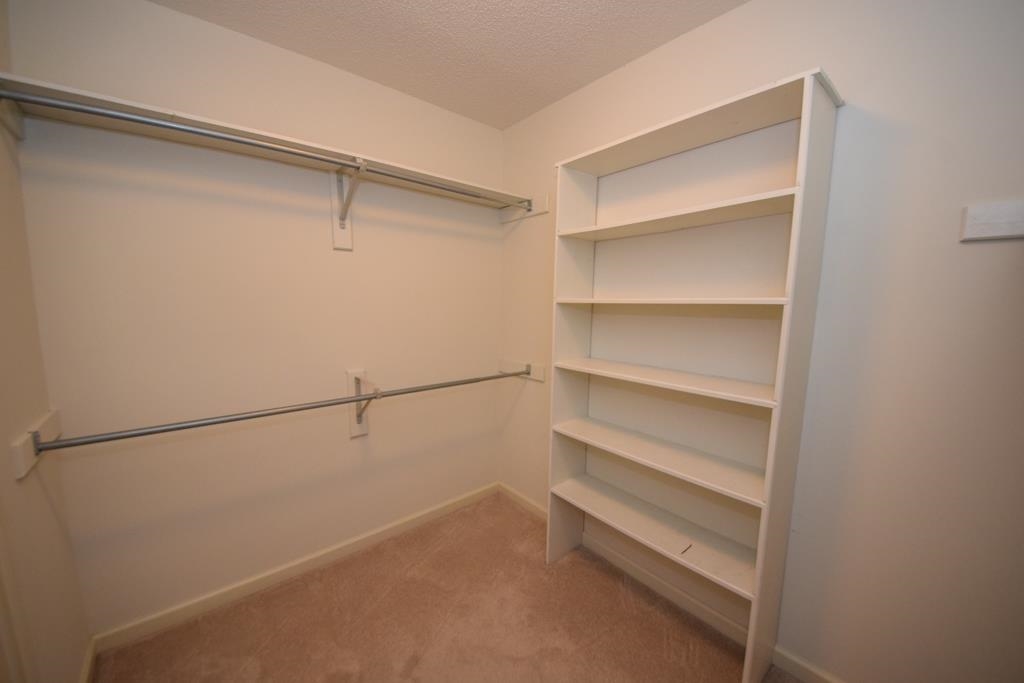 868 Rhett Butler Drive Collierville, TN 38017 - Photo 14 of 25 Gallery Image 14