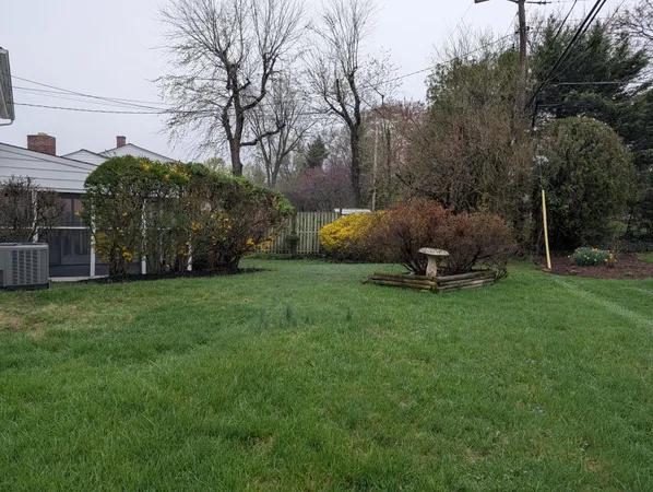 a view of a backyard with potted plants and large trees