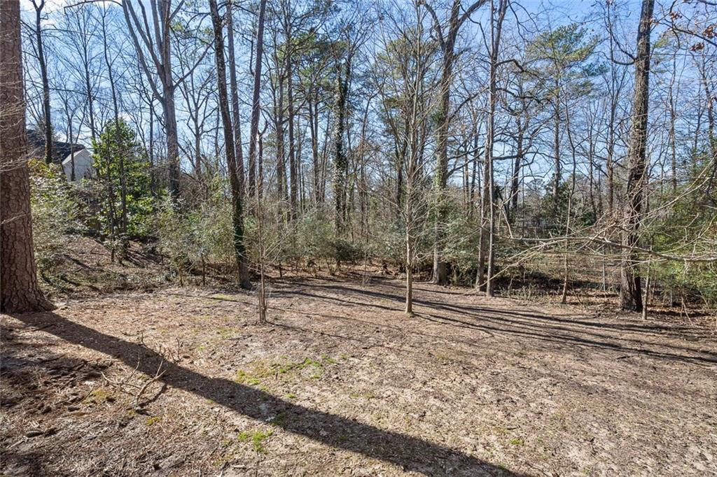 1500 West Wesley Road Northwest Atlanta, GA 30327 - Photo 57 of 60 a backyard of a house with lots of green space