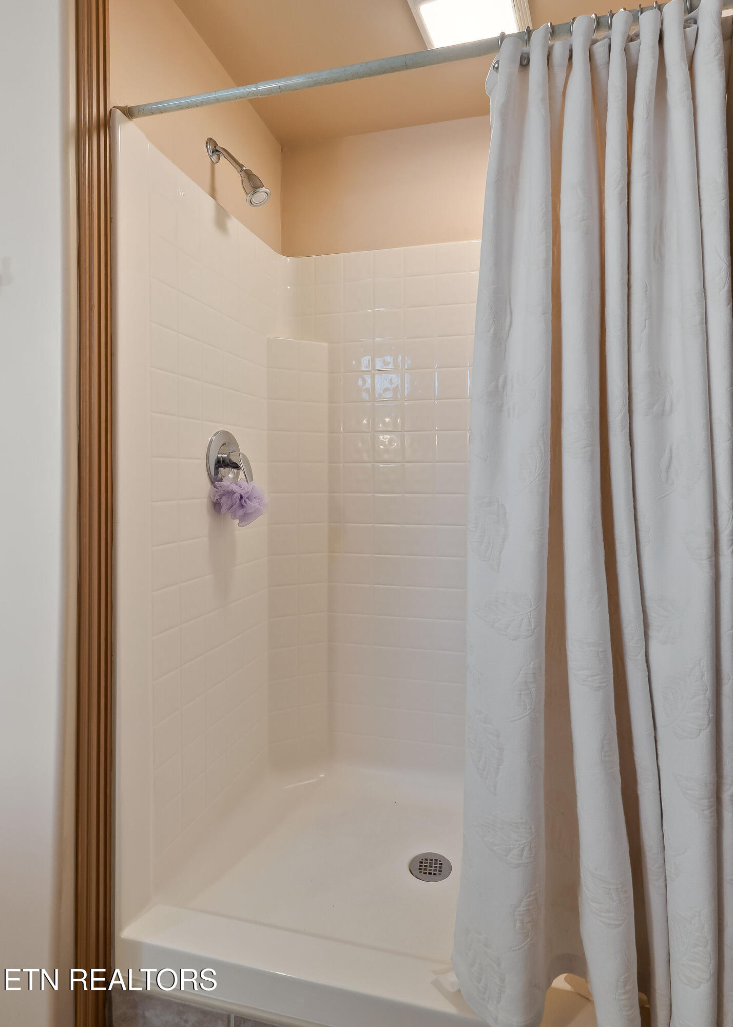 122 Pineridge Loop Crossville, TN 38558 - Photo 43 of 55 Lower Level Shower