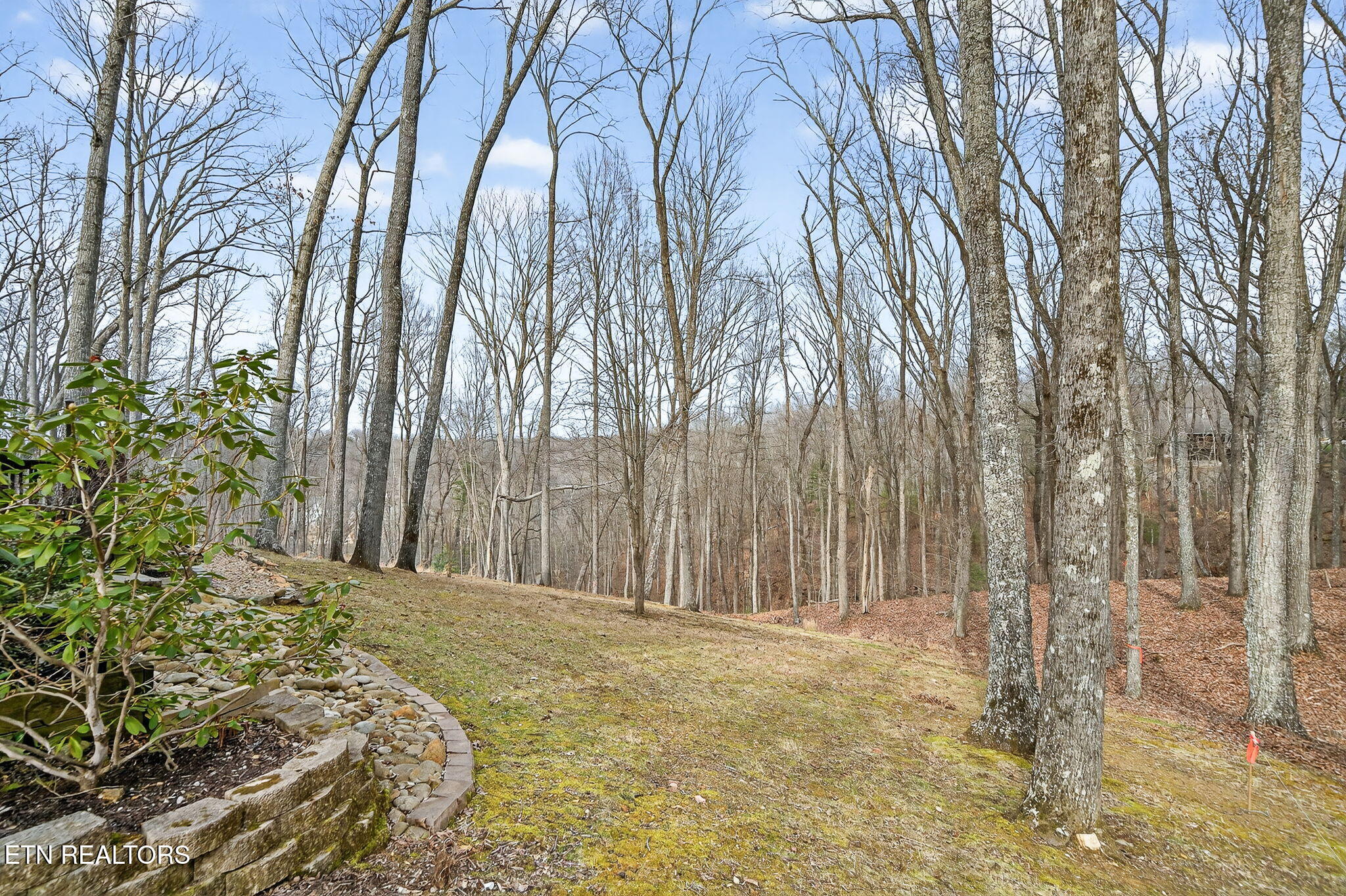 122 Pineridge Loop Crossville, TN 38558 - Photo 7 of 58 122 Pineridge Loop
