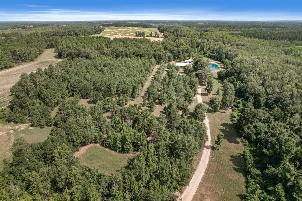 2480 South Springhill Road Gordon, AL 36343 - Photo 111 of 114