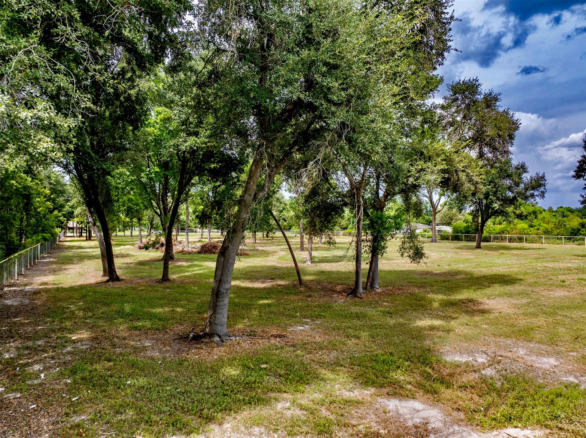 0 Rice Road Pearland, TX 77581 - Photo 12 of 13 a big yard with lots of green space and trees