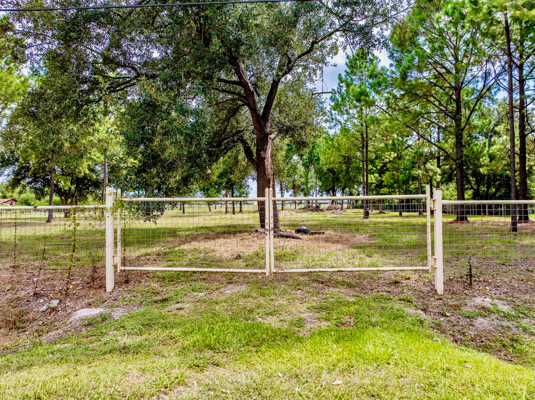 0 Rice Road Pearland, TX 77581 - Photo 4 of 13 a view of a park with large trees
