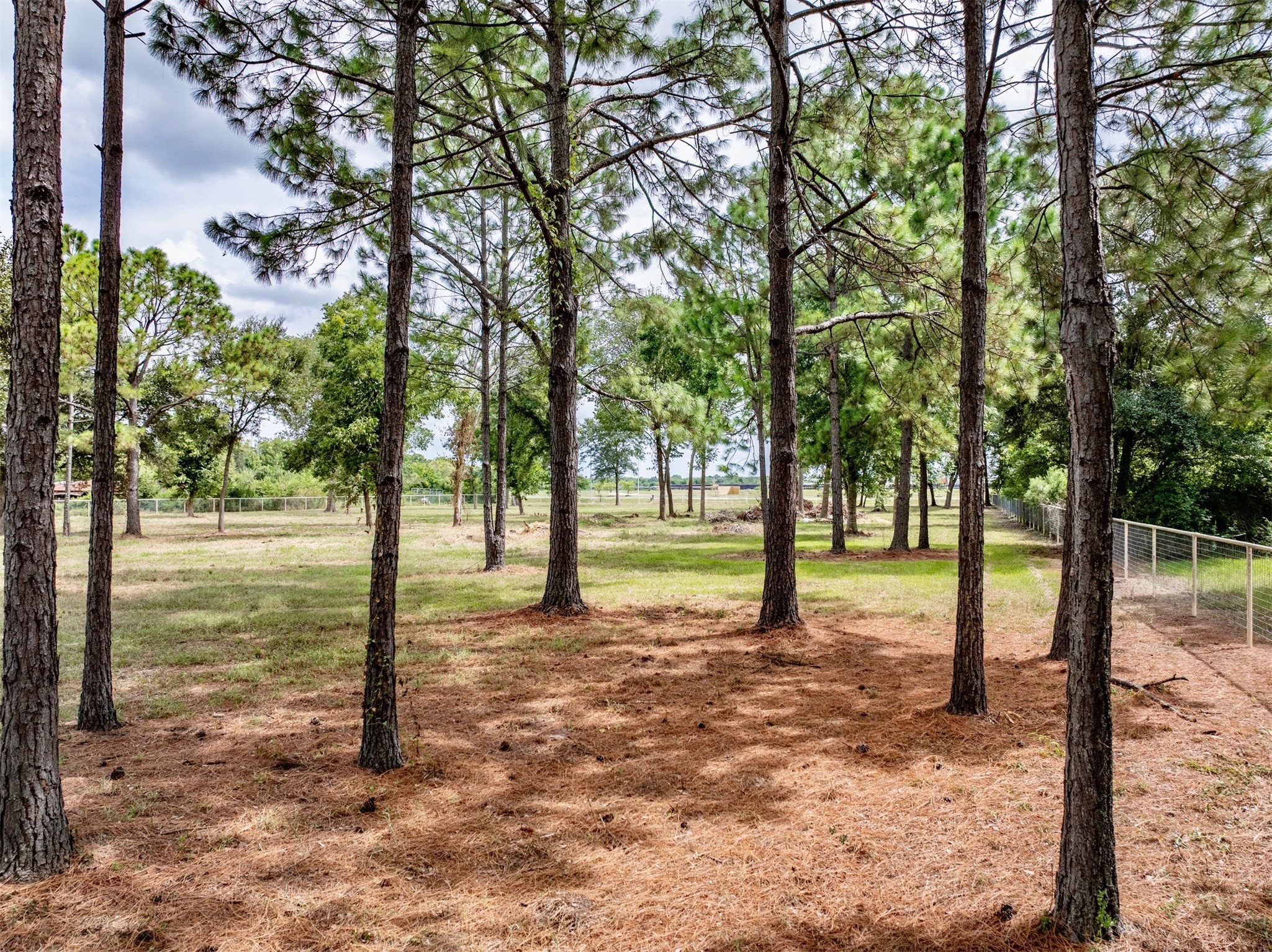 0 Rice Road Pearland, TX 77581 - Photo 8 of 13 a view of a yard with a tree