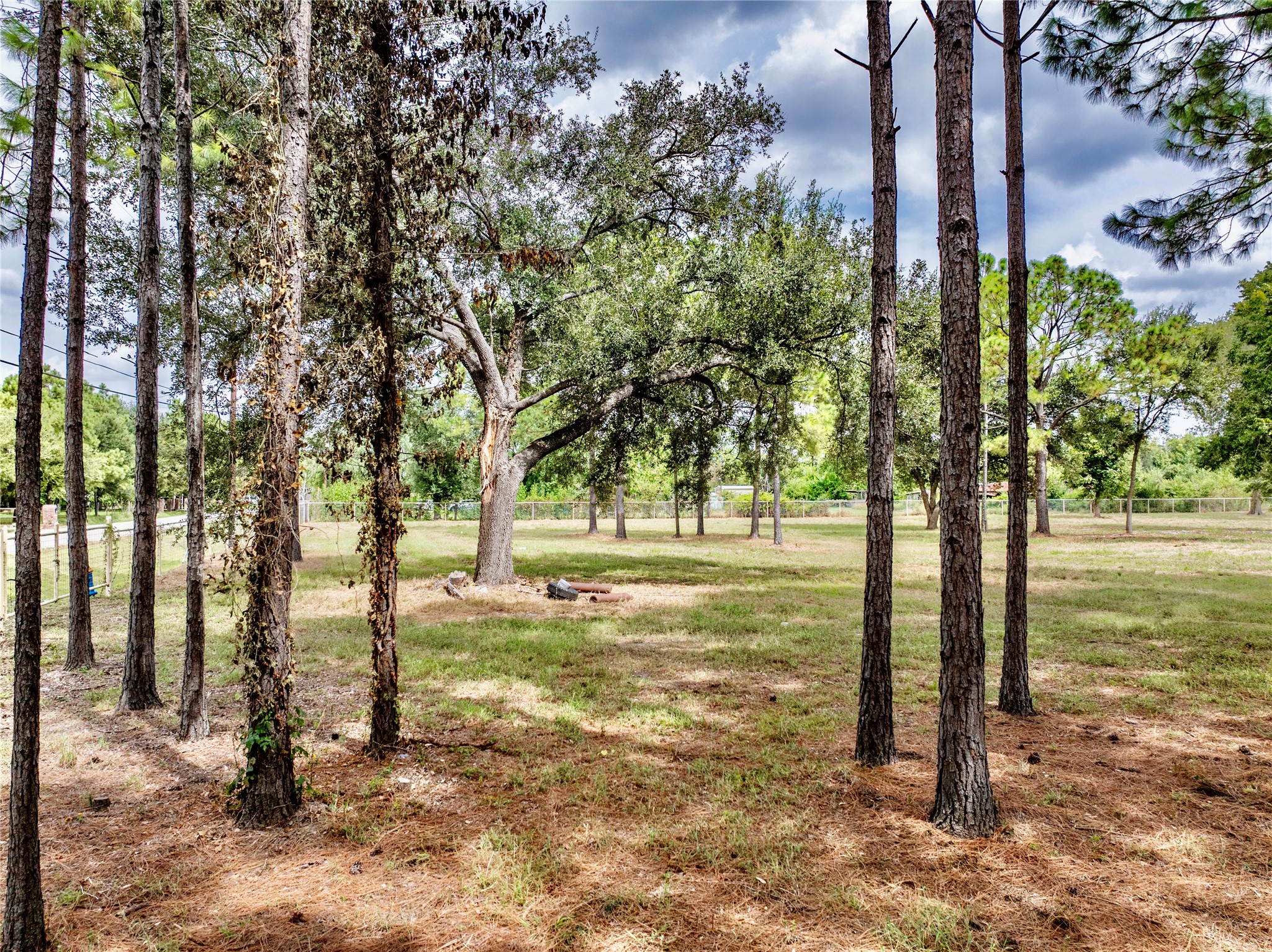 0 Rice Road Pearland, TX 77581 - Photo 9 of 13 a view of a tree in a yard