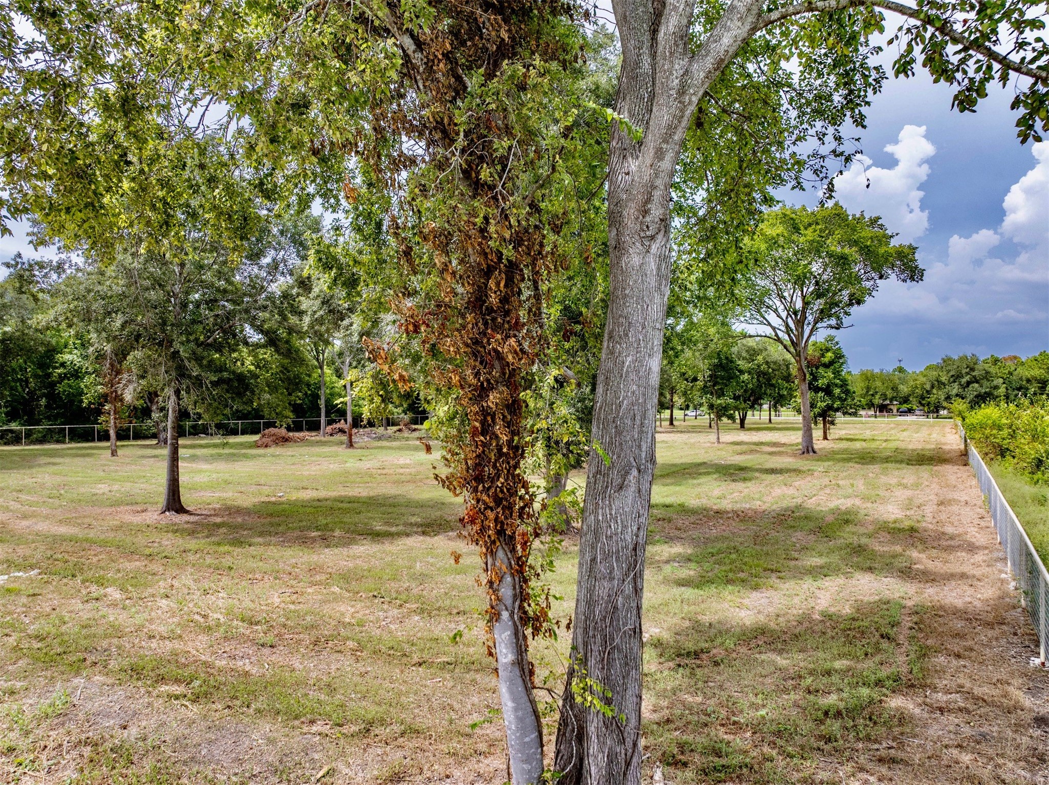 0 Rice Road Pearland, TX 77581 - Photo 10 of 13 a view of yard with tree
