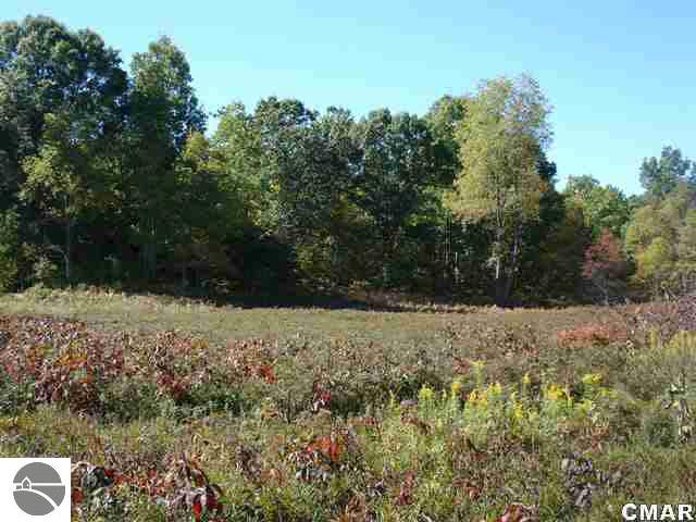 11060 Cook Avenue Lake, MI 48632 - Photo 22 of 25