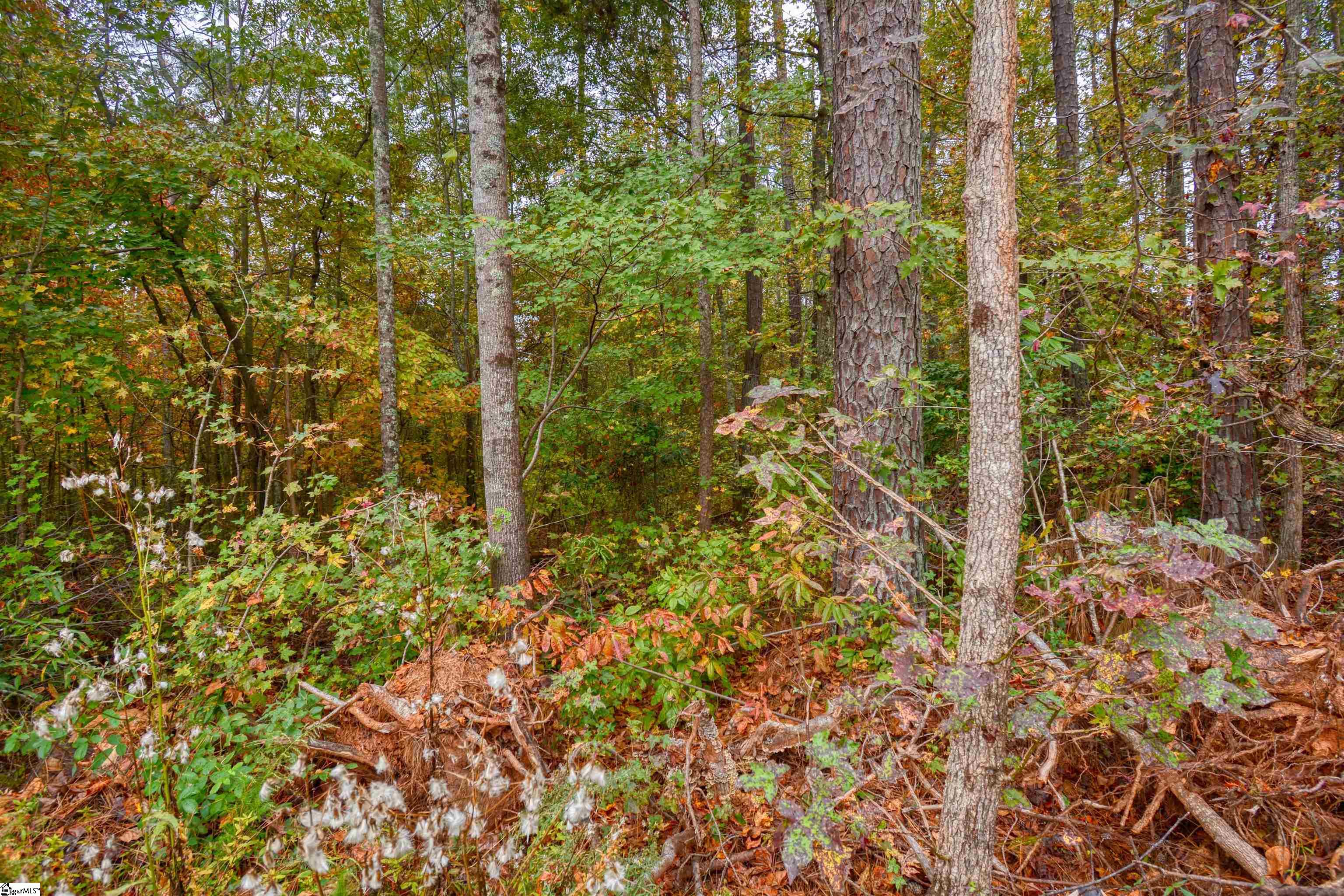 160 Lockman Street Inman, SC 29349 - Photo 3 of 8