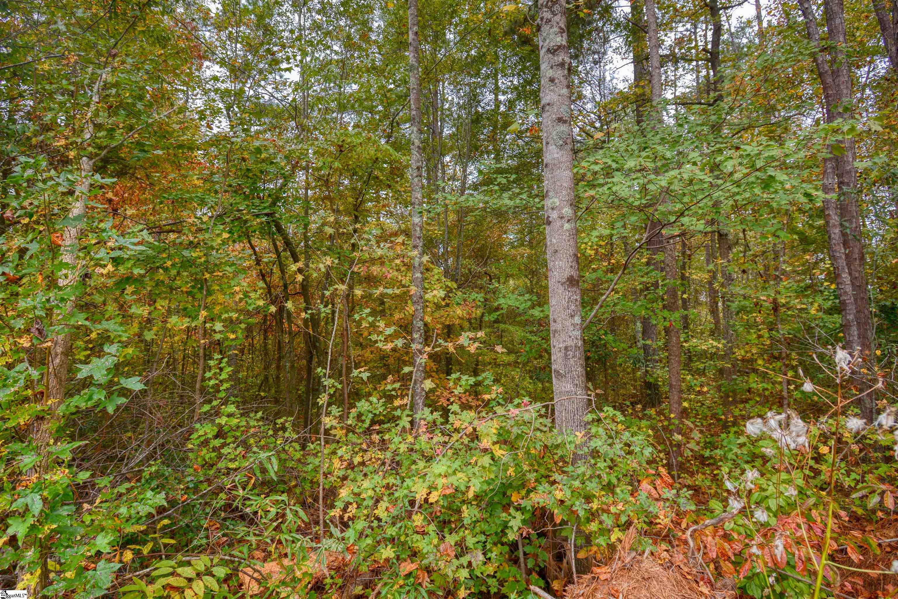 160 Lockman Street Inman, SC 29349 - Photo 4 of 8