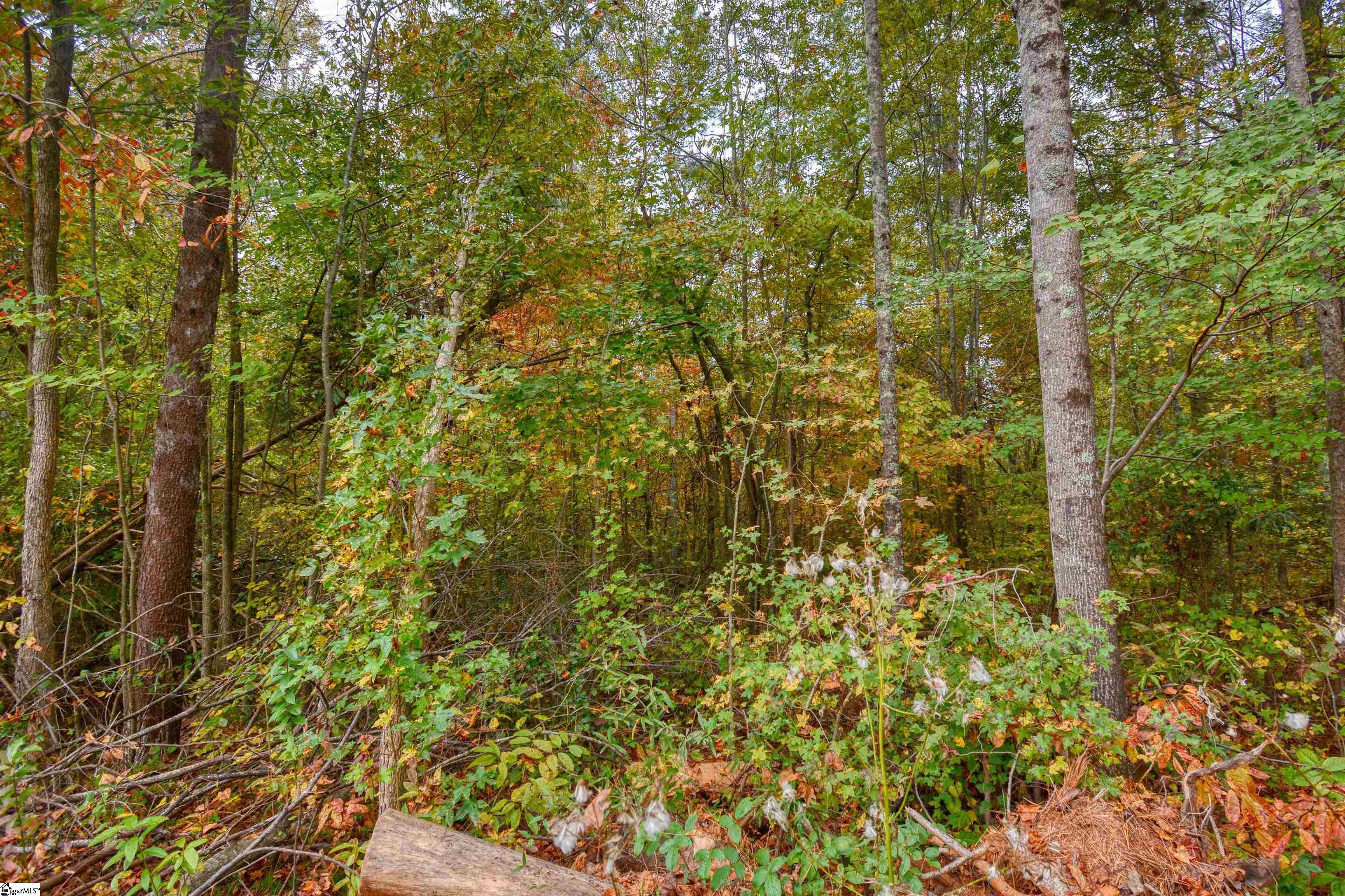 160 Lockman Street Inman, SC 29349 - Photo 6 of 8