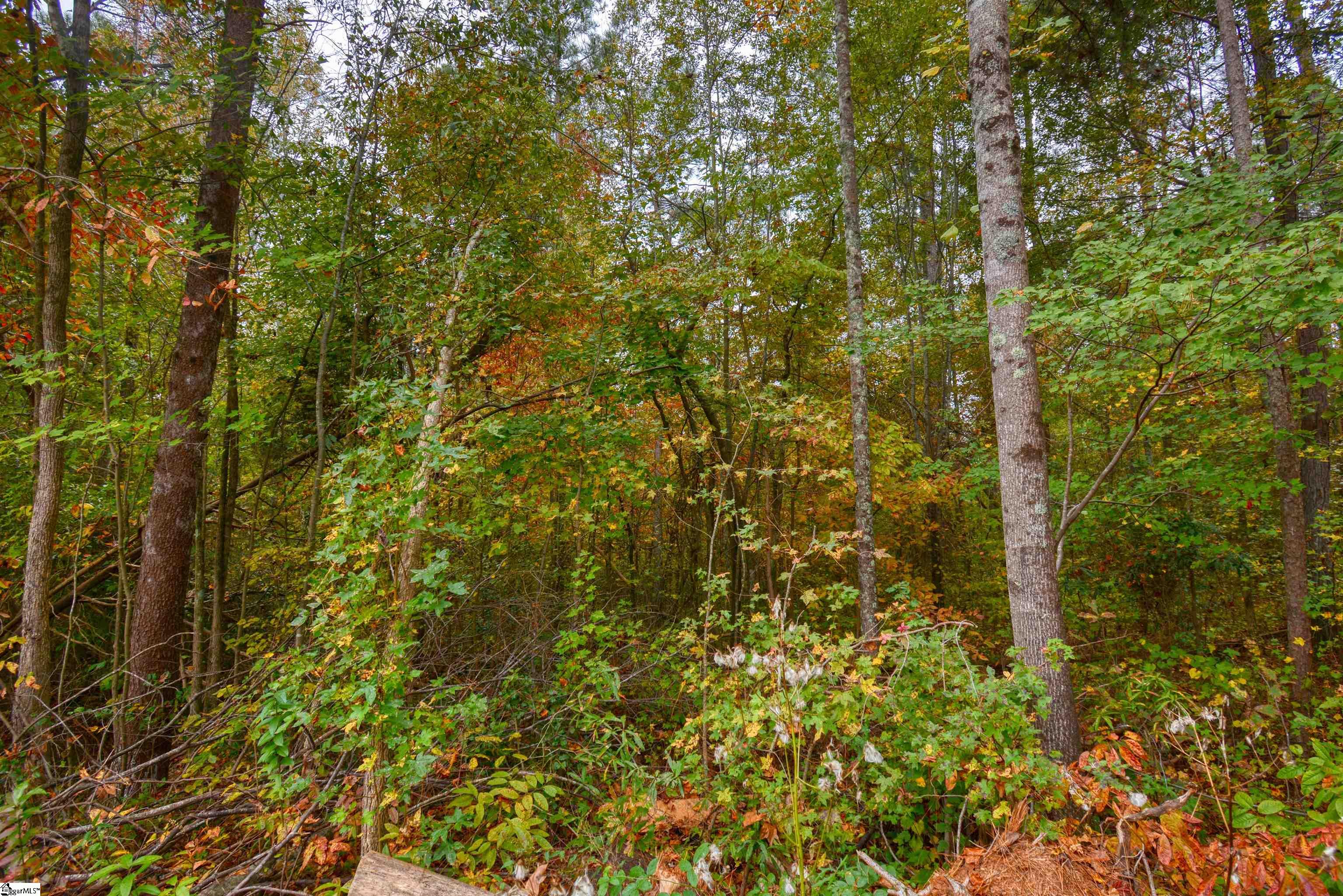 160 Lockman Street Inman, SC 29349 - Photo 7 of 8