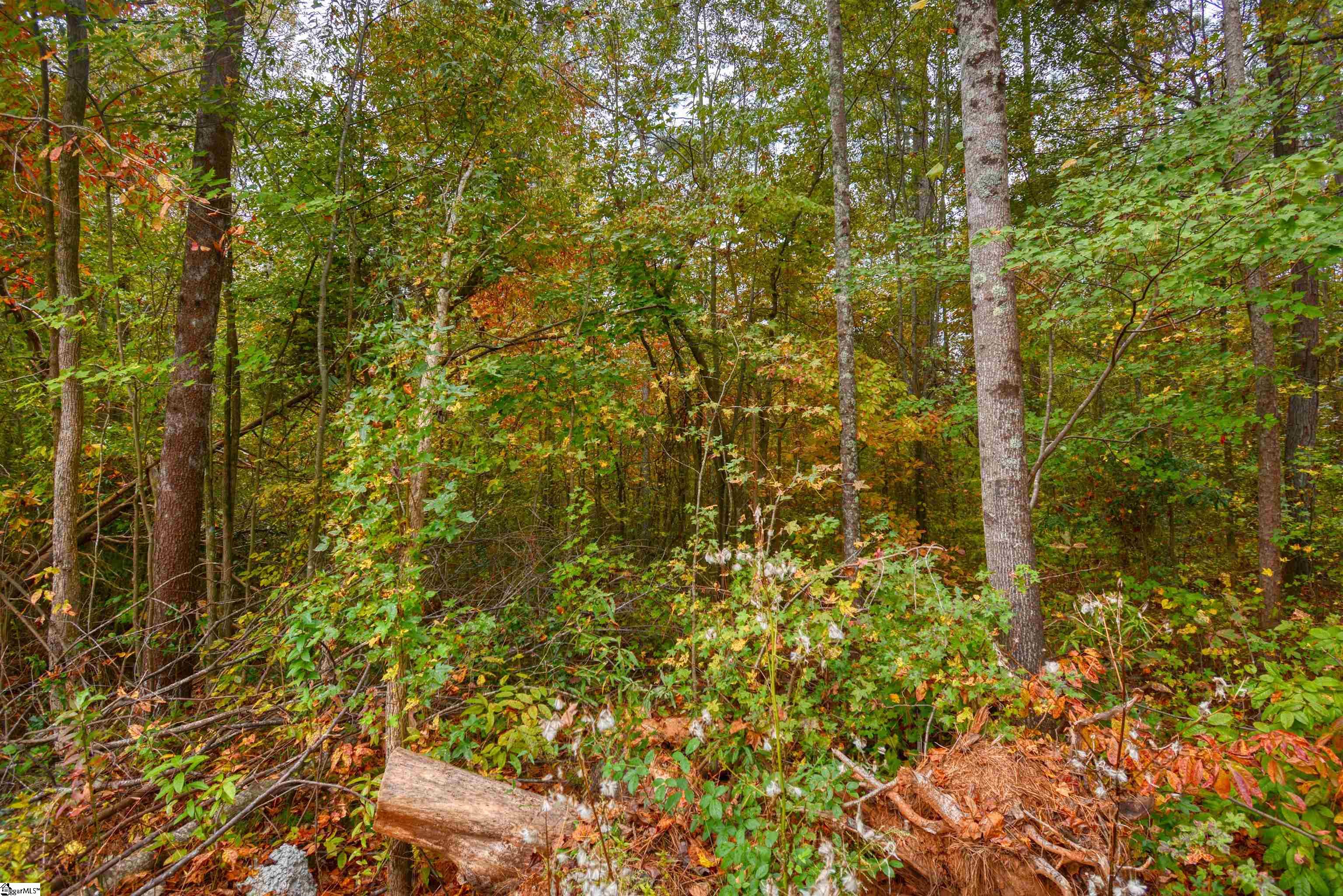 160 Lockman Street Inman, SC 29349 - Photo 8 of 8
