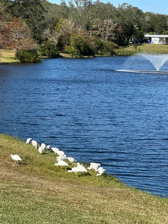 $317,500 | 200 Laguna Court, St. Augustine, FL 32086