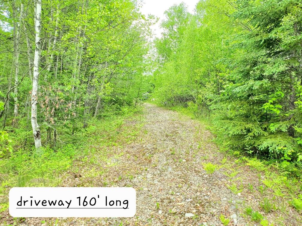 77 South Princeton Road Alexander, ME 04694 - Photo 7 of 31 driveway is 160' long